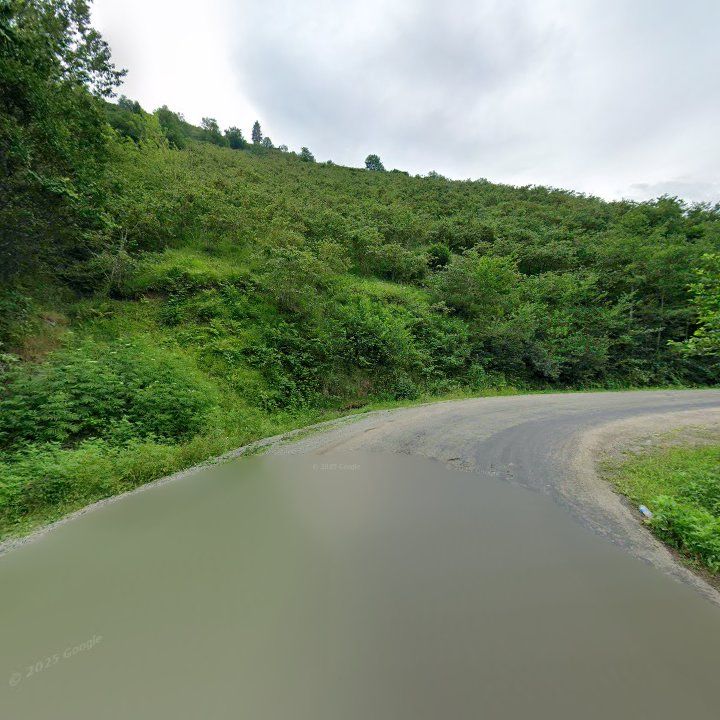 Saydere Park