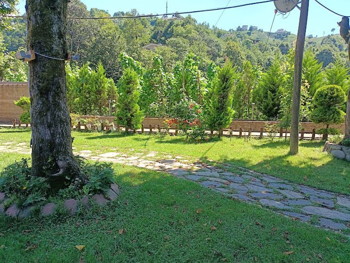 Yorum fotoğrafı 3