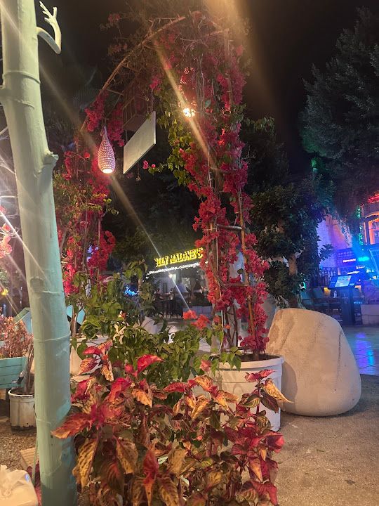 Yorum fotoğrafı 2