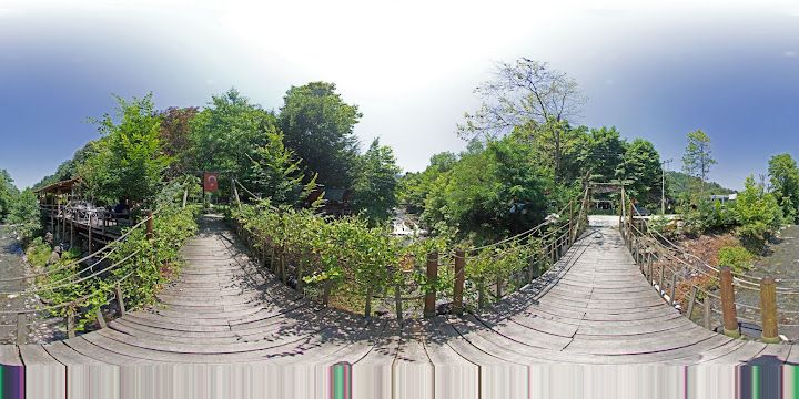 Fotoğraf 12