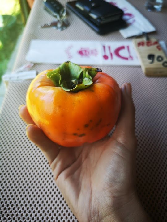 Fotoğraf 16