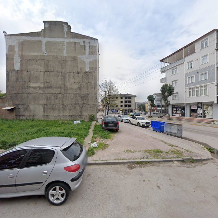 Fotoğraf 10