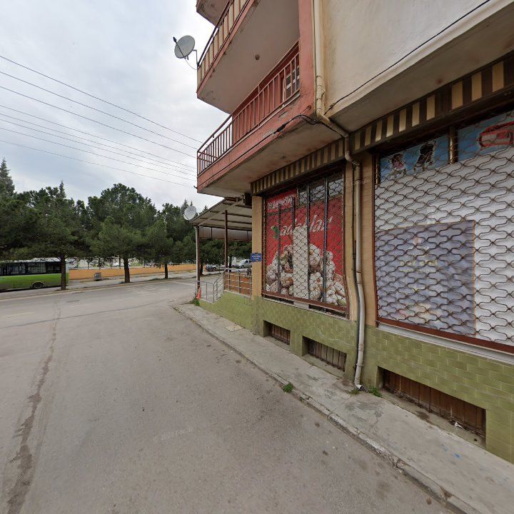 Fotoğraf 3