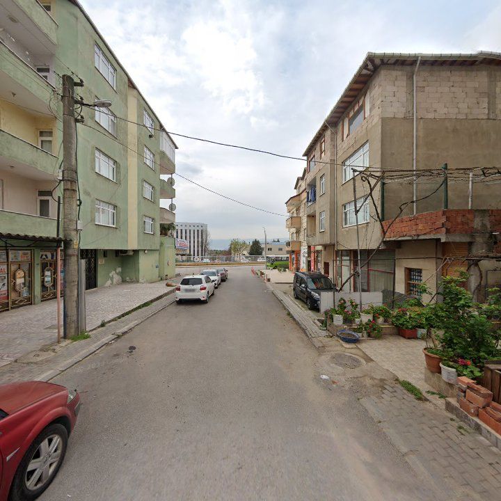 Fotoğraf 6
