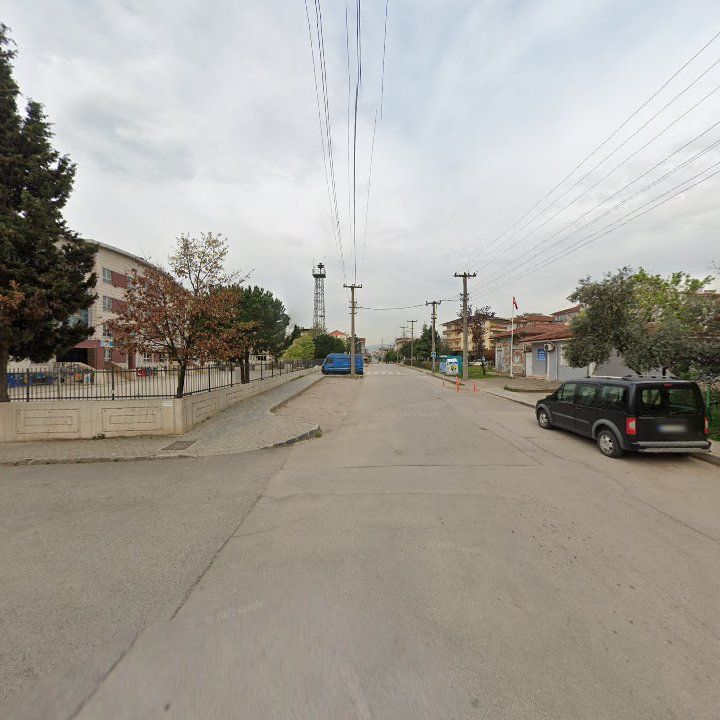 Fotoğraf 9