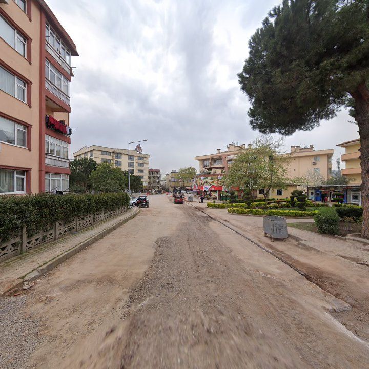 Fotoğraf 12