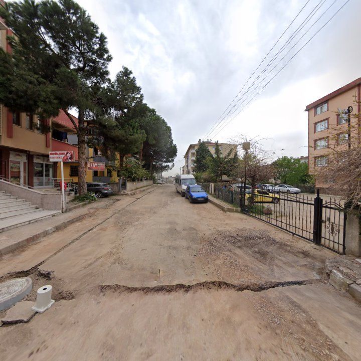 Fotoğraf 10