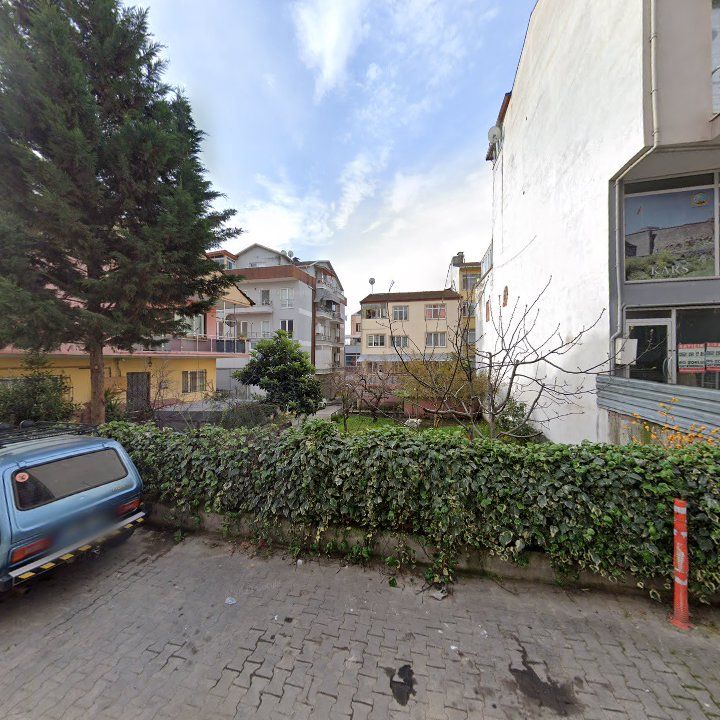 Fotoğraf 7