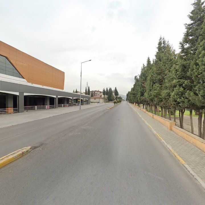 Fotoğraf 8