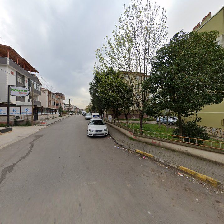 Fotoğraf 12