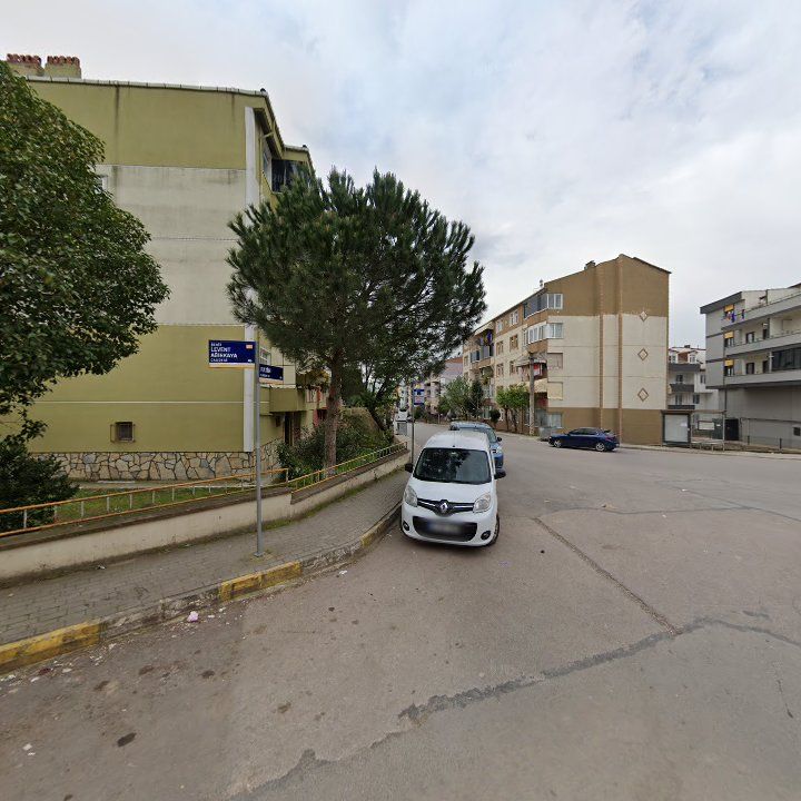 Fotoğraf 13