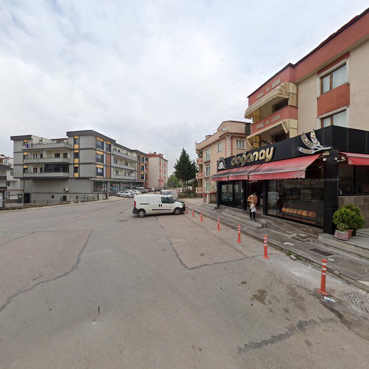Fotoğraf 14