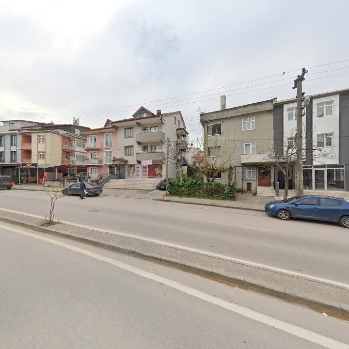 Fotoğraf 14