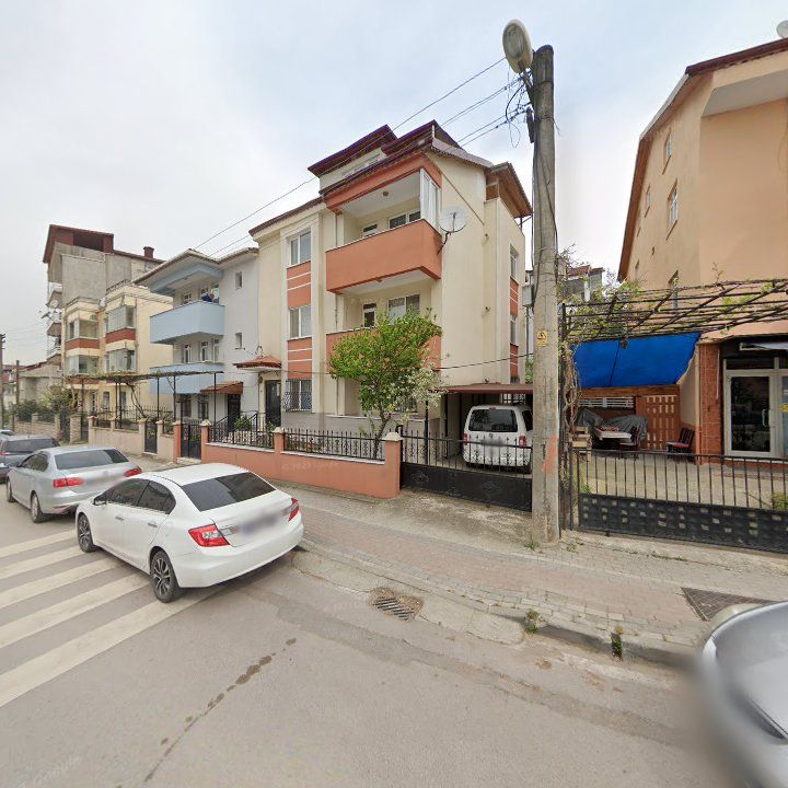 Fotoğraf 12