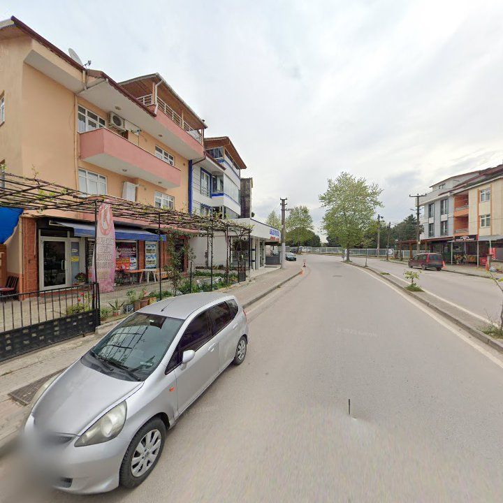 Fotoğraf 13