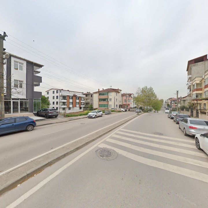Fotoğraf 15