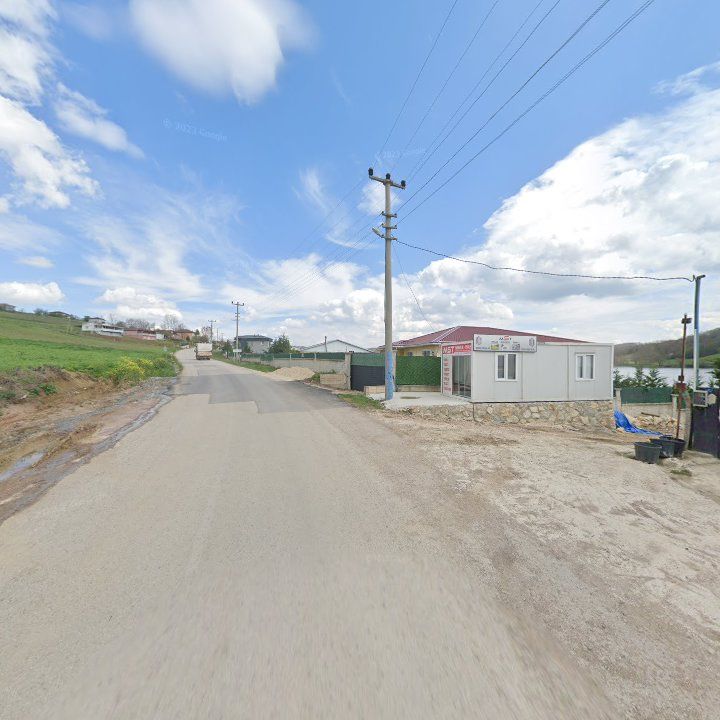 Fotoğraf 10