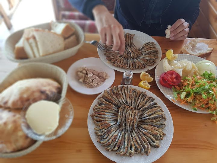 Hamsi Balık