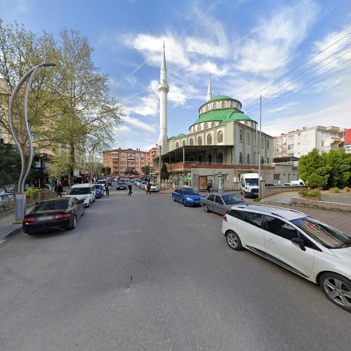 Fotoğraf 9