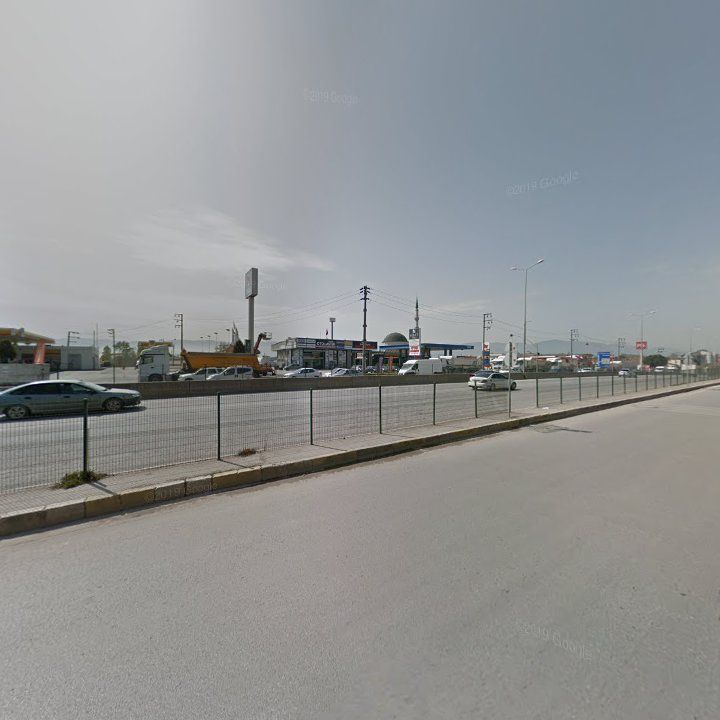 Fotoğraf 12