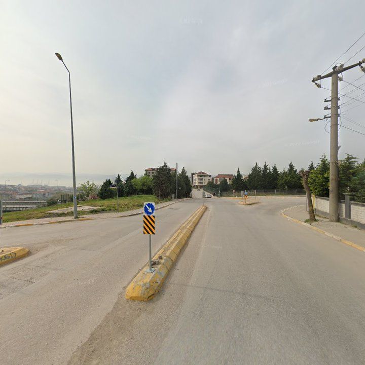 Fotoğraf 12