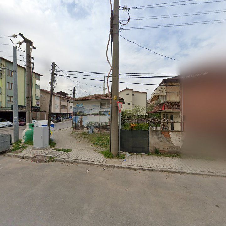 Fotoğraf 11
