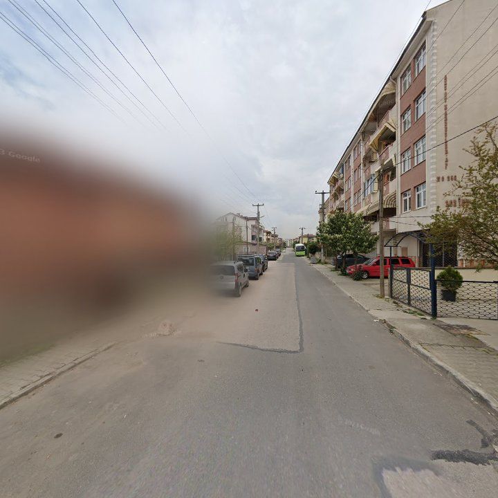 Fotoğraf 12
