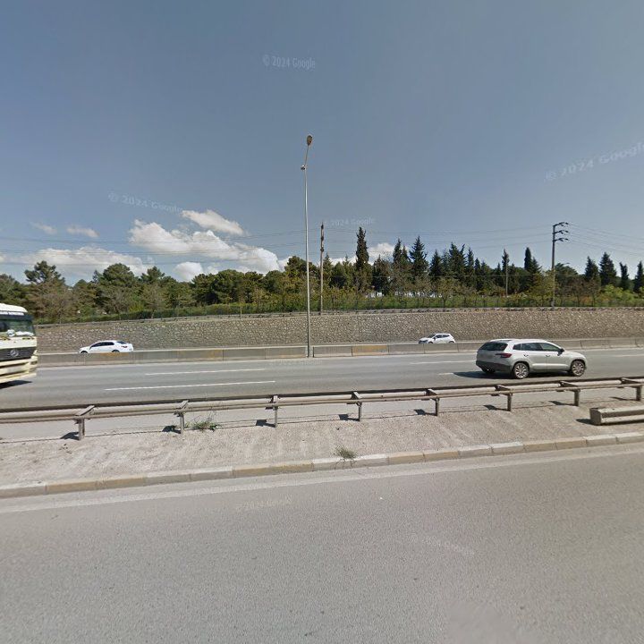 Fotoğraf 12