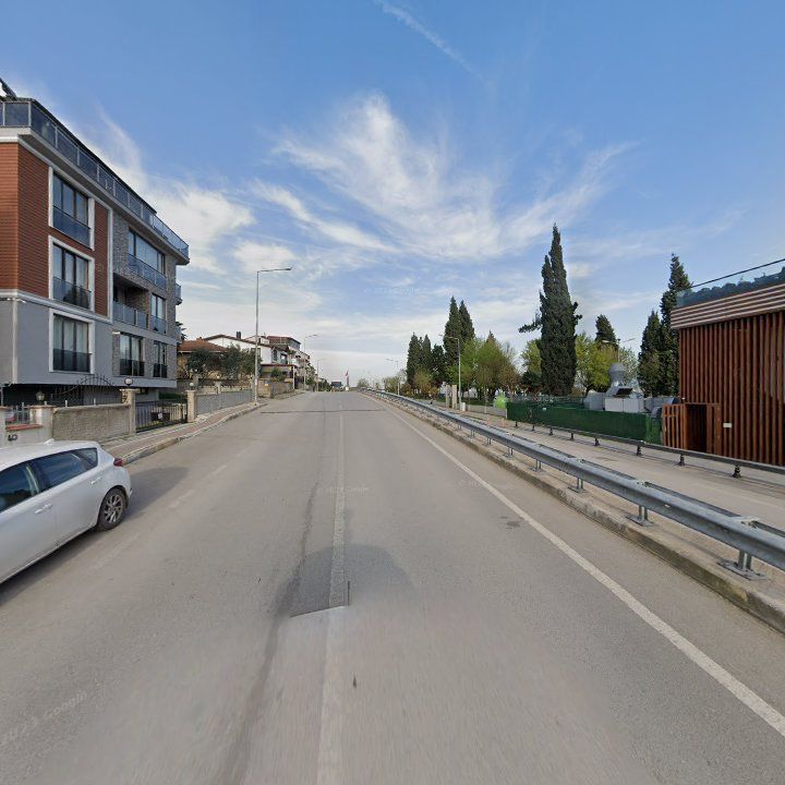 Fotoğraf 10