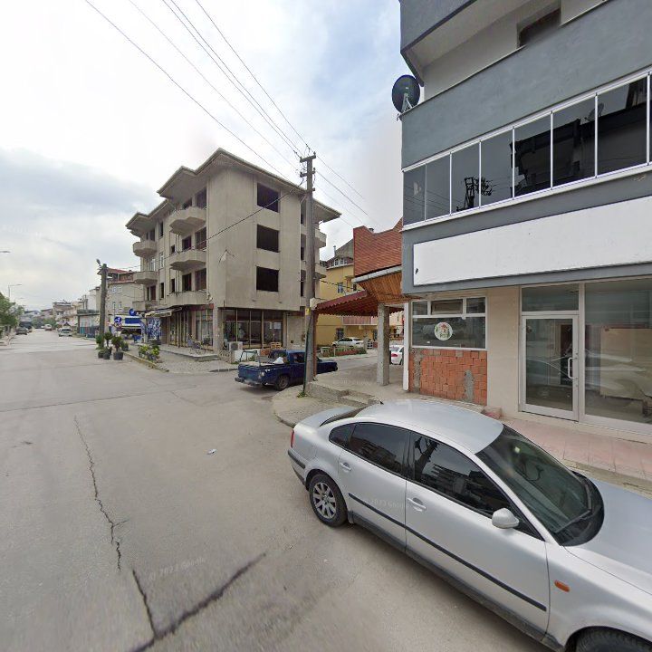 Fotoğraf 12
