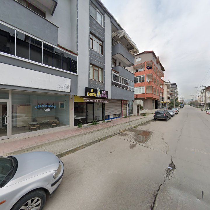 Fotoğraf 13