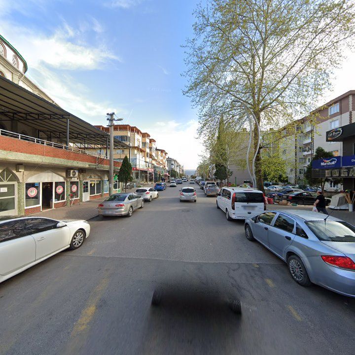 Fotoğraf 9
