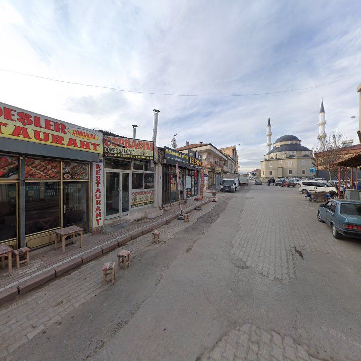Fotoğraf 8