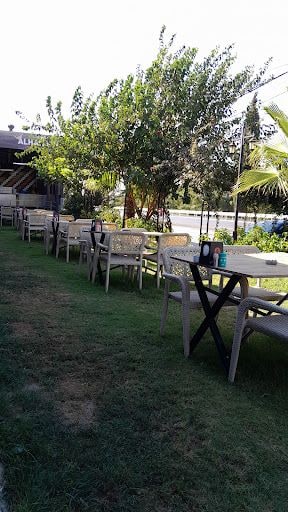Fotoğraf 17