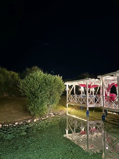 Fotoğraf 19