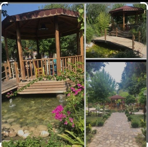 Fotoğraf 19