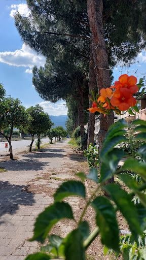 Fotoğraf 22