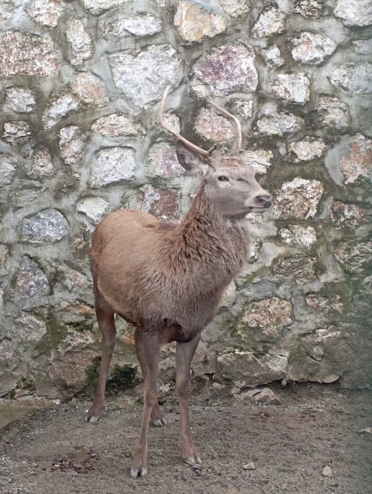 Yorum fotoğrafı 3