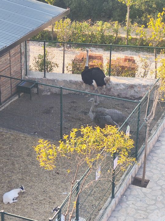 Yorum fotoğrafı 3