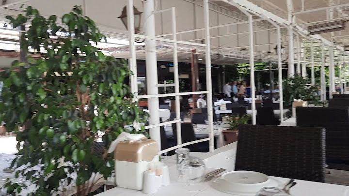Fotoğraf 33
