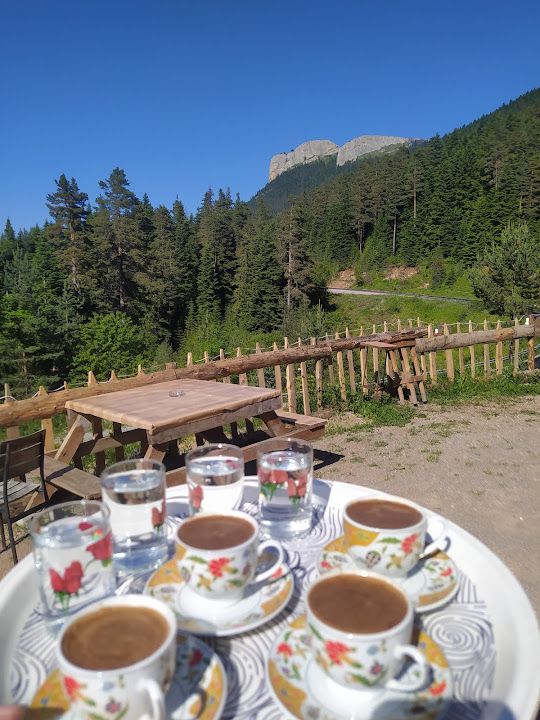 Arda'nın Yeri