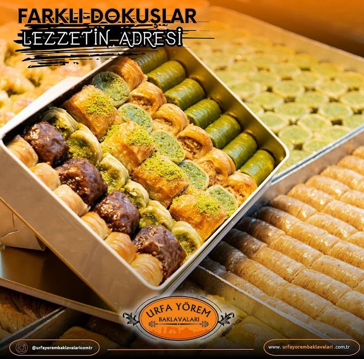 Fotoğraf 14