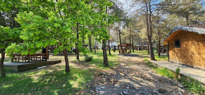 Fotoğraf 31