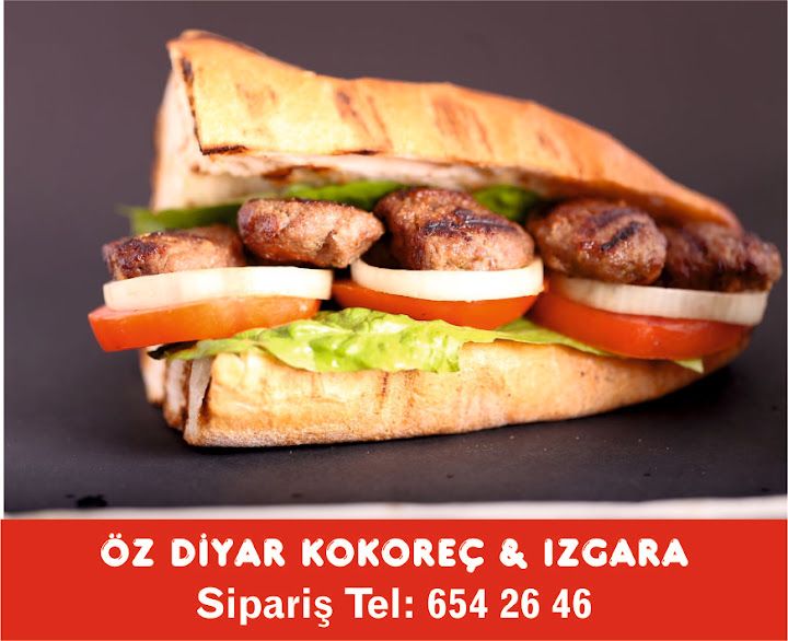 Fotoğraf 13