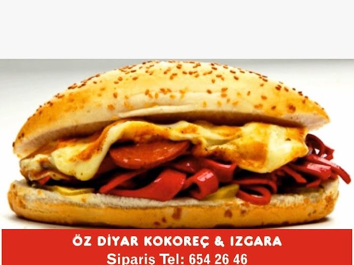Fotoğraf 16