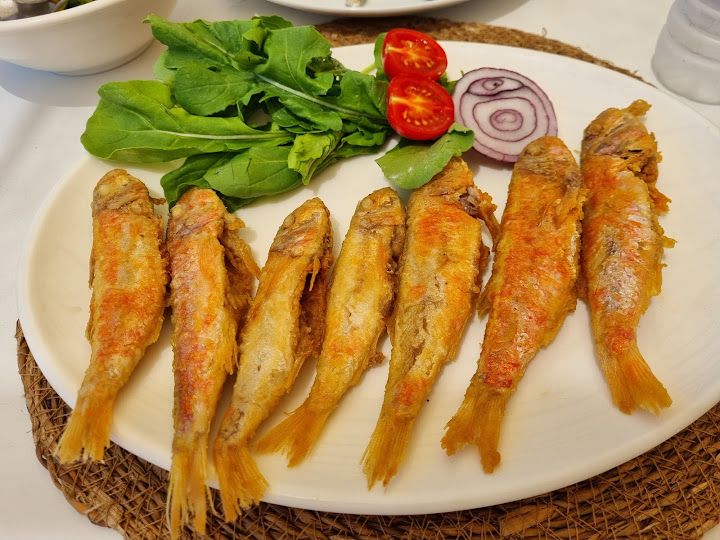 Fotoğraf 45