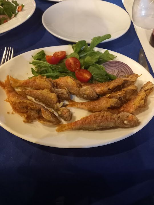 Fotoğraf 48