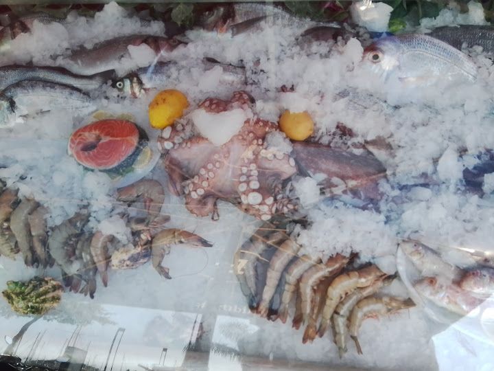 Fotoğraf 26