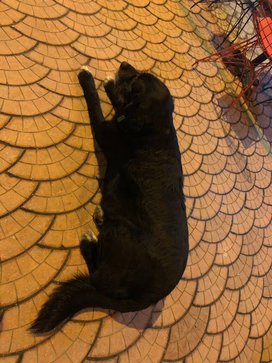 Yorum fotoğrafı 3