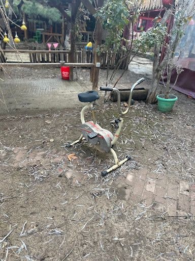 Yorum fotoğrafı 8